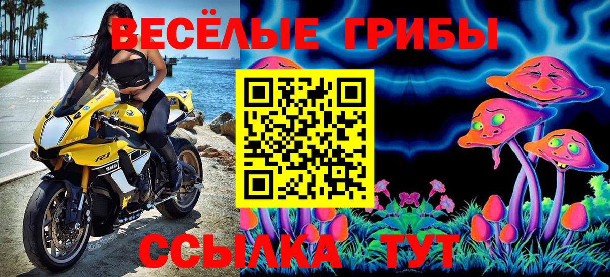 Кисловодск  Псилоцибиновые грибы MAGIC MUSHROOMS  Вход с VPN 