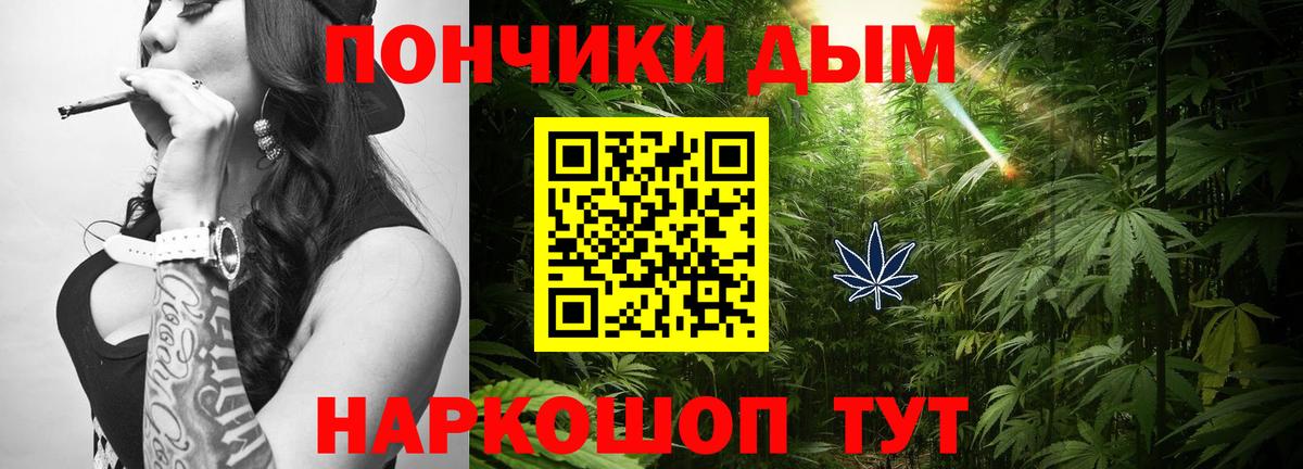 Шишки марихуана ГИДРОПОН Кисловодск